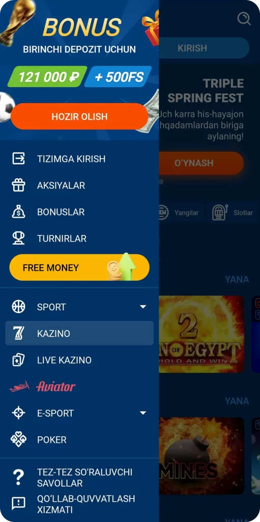 Asosiy menyu. Ilova bo'limlari